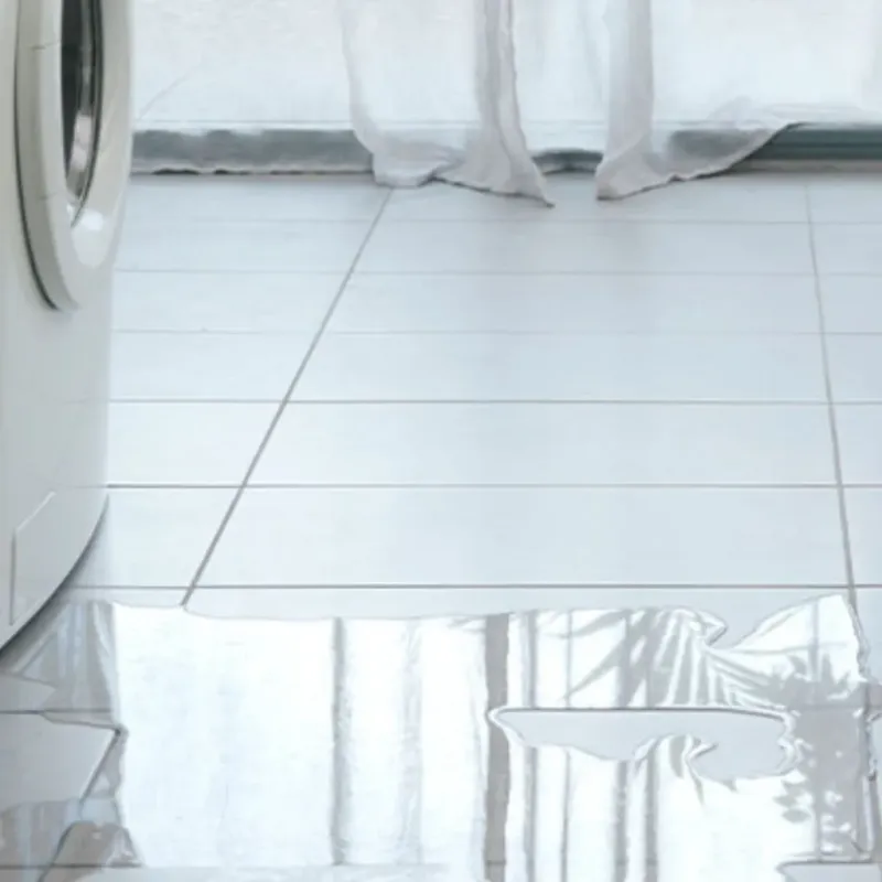 Appliance Leak Cleanup in Justin, TX