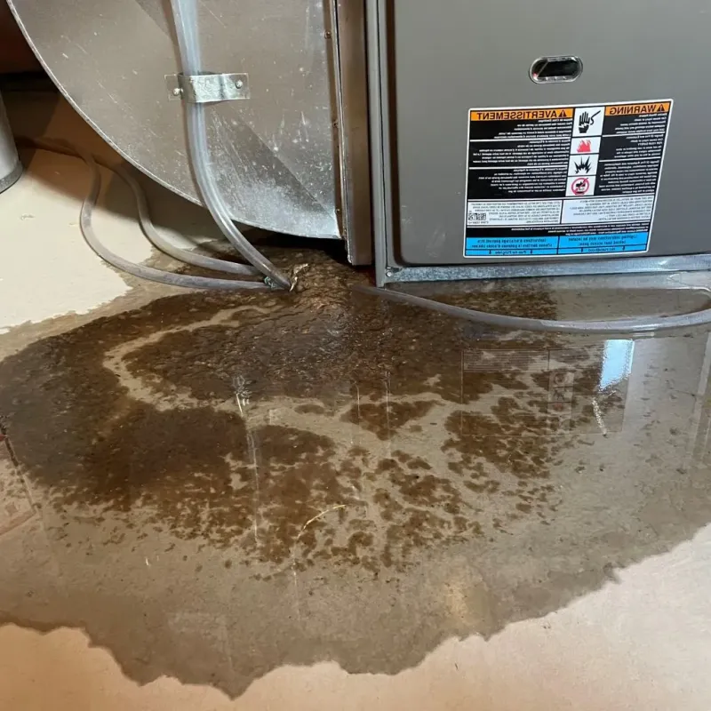 Pipe Burst and Leak Restoration in Justin, TX