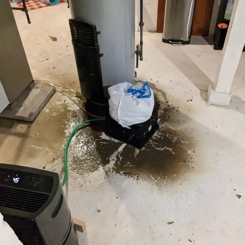Sewage Backup Cleanup Service in Justin, TX
